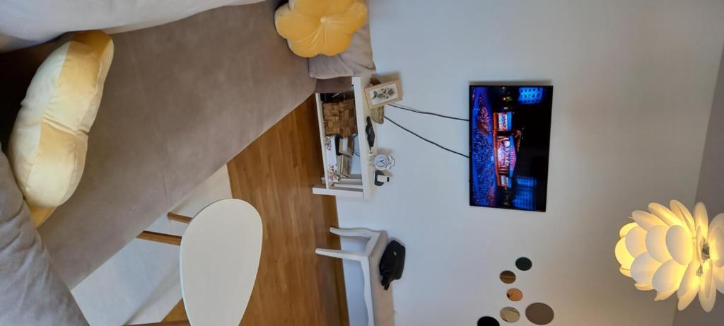 TV a/nebo společenská místnost v ubytování Apartman Ramonda Vrnjacka banja