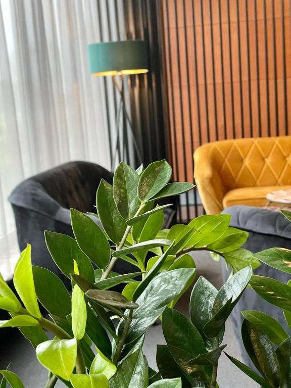 Posezení v ubytování Hotel Hi-Fi Spa