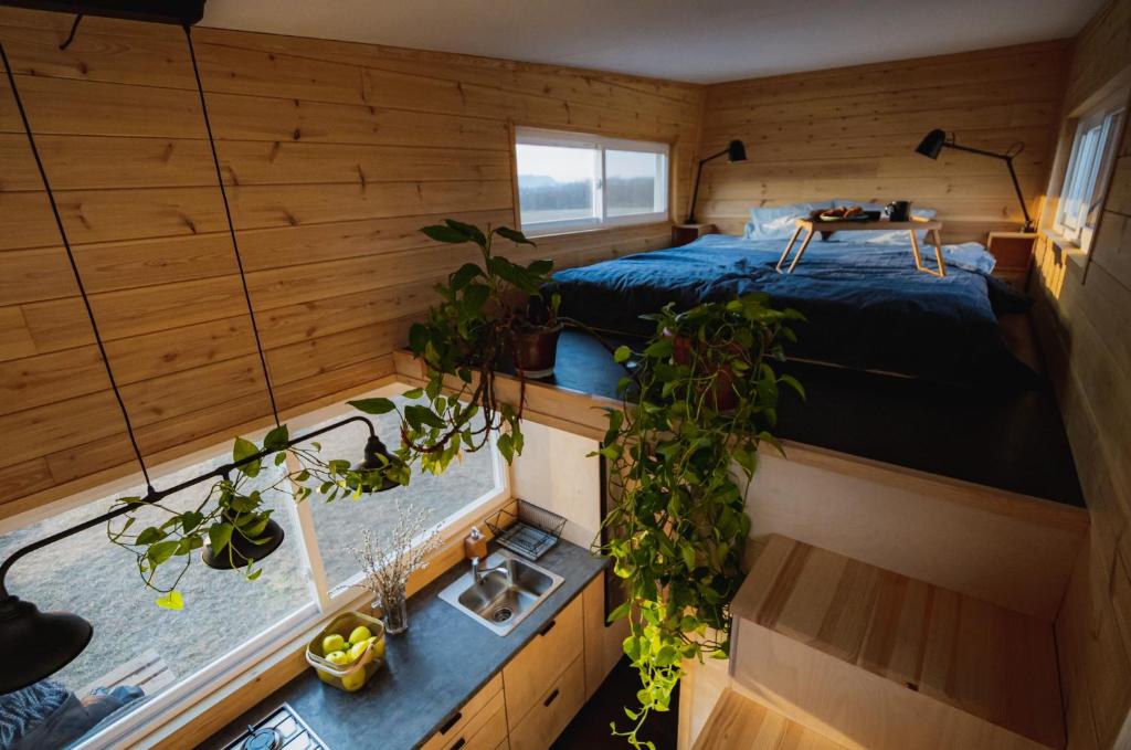 ein Zimmer mit einem Bett und Topfpflanzen darin in der Unterkunft POP Tiny House Nagymaros in Nagymaros