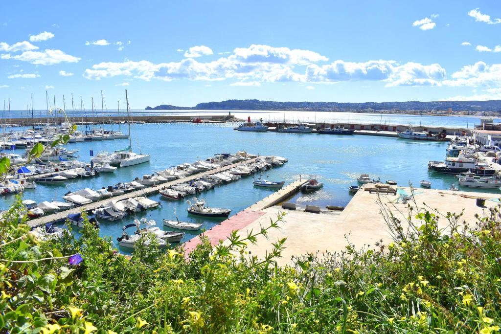 Príroda v okolí apartmánu