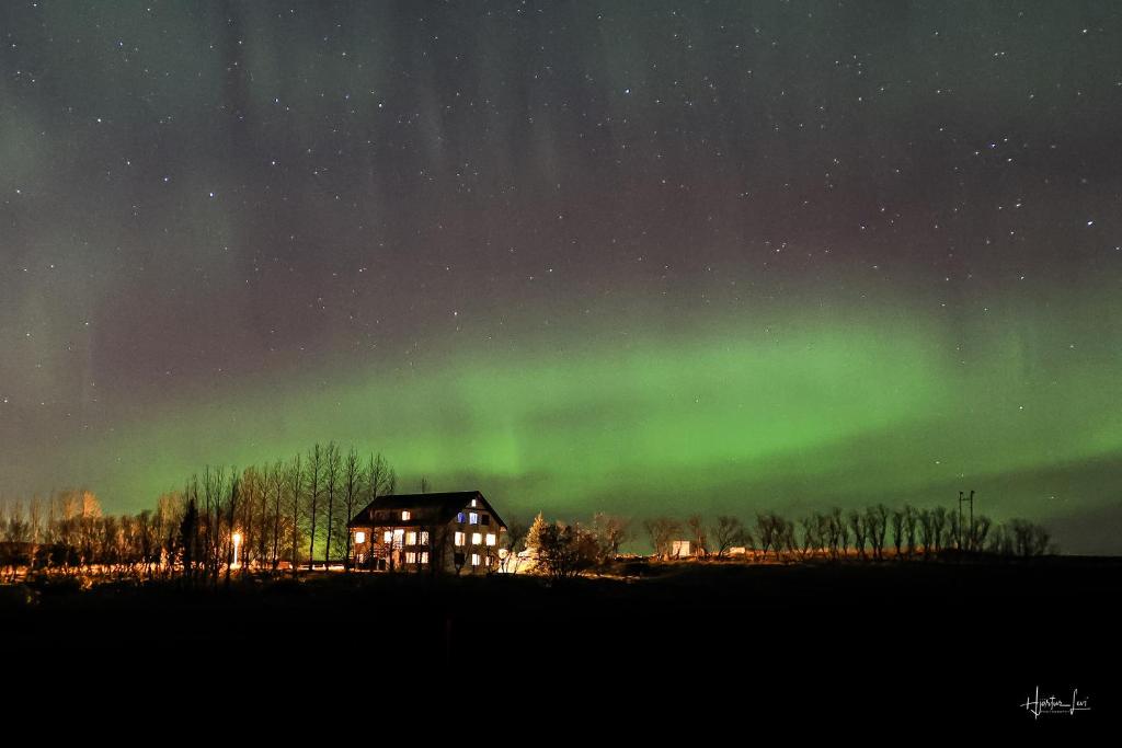 an aurora over a house in a field at night at Guesthouse Bitra B&B in Selfoss