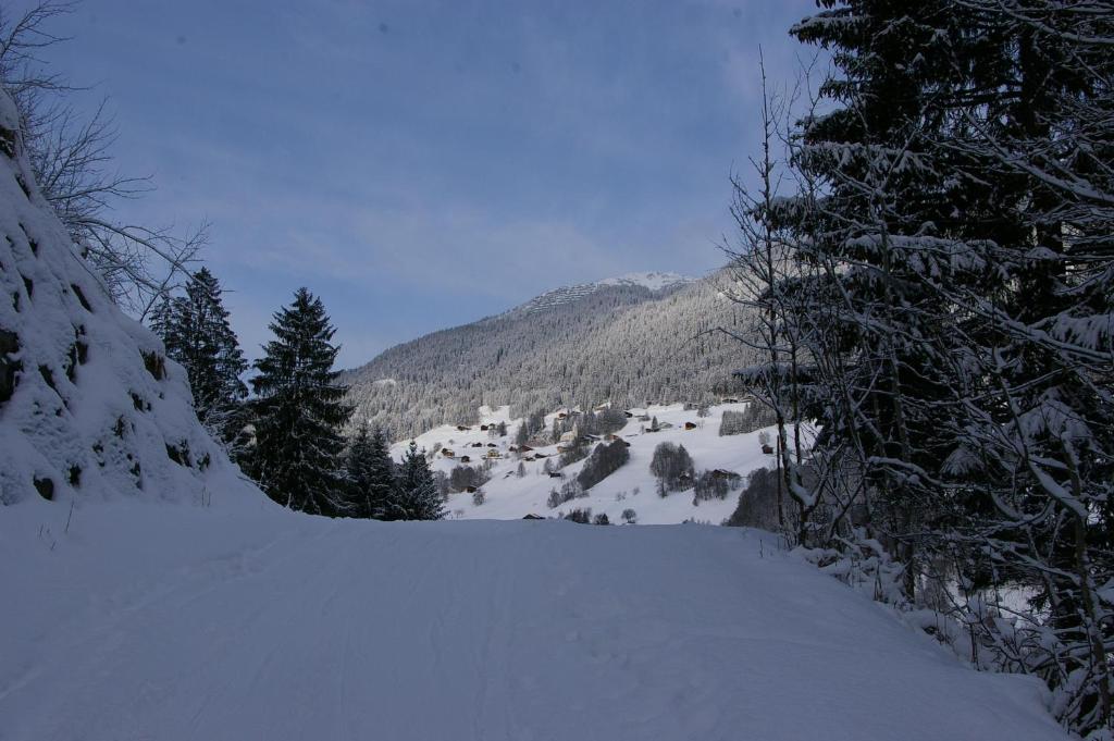 Alpenliebe Montafon v zimě