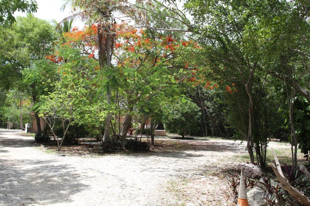 Beach Estate, Key Largo Updated 2022 Prices