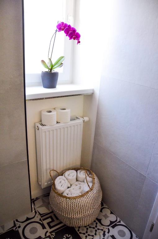 Fotografie z fotogalerie ubytování Apartmán u Vítka v destinaci Mikulov