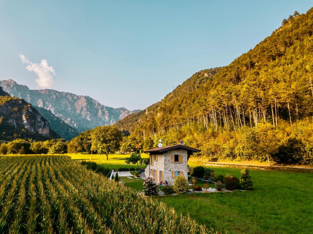 a small house in a field next to a mountain at Dimora Natura-Riserva Naturale Valle di Bondo in Tremosine Sul Garda