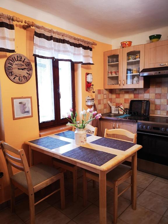Köök või kööginurk majutusasutuses Dráchovský apartmán a vejminek