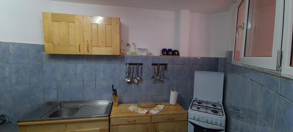 Kuchyň nebo kuchyňský kout v ubytování Pensiunea Aurora - Great Hostel Voineasa
