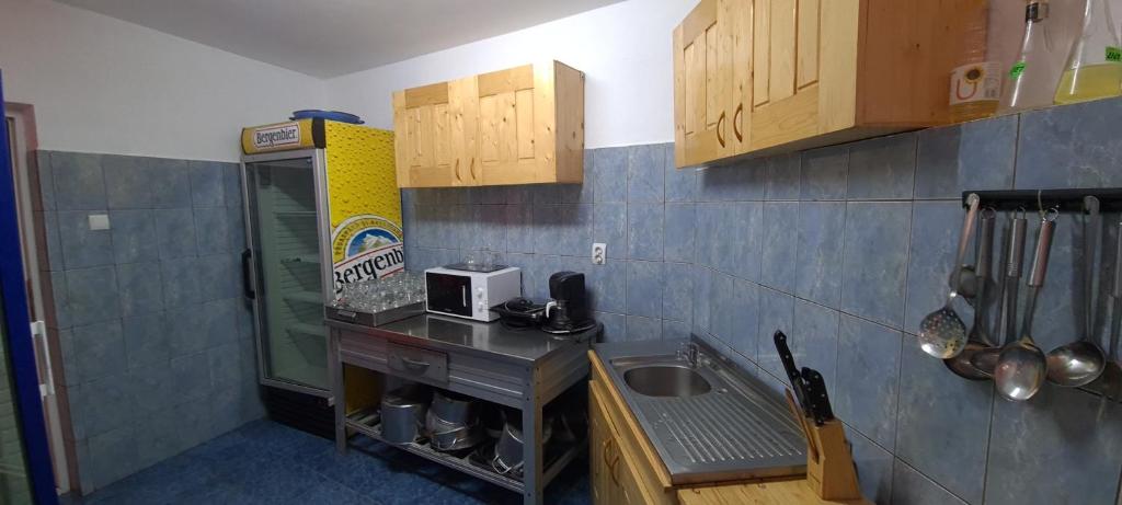 Kuchyň nebo kuchyňský kout v ubytování Pensiunea Aurora - Great Hostel Voineasa
