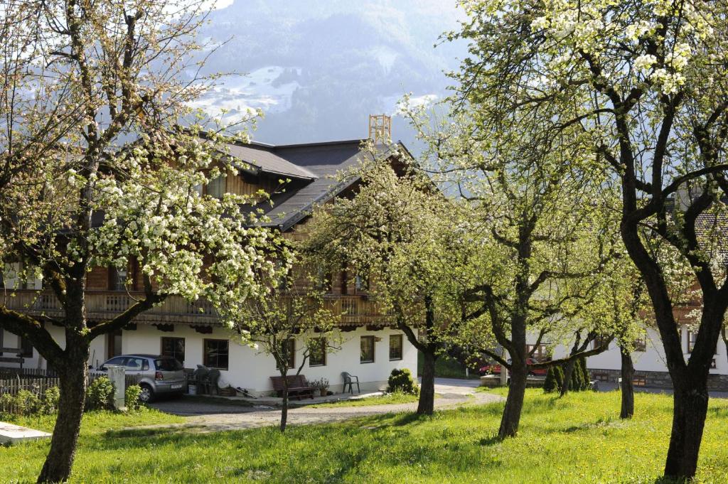 Příroda nedaleko apartmánu