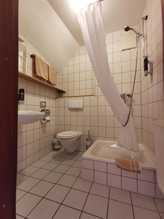Gasthaus & Hotel Drei Lilien - 基本双人间