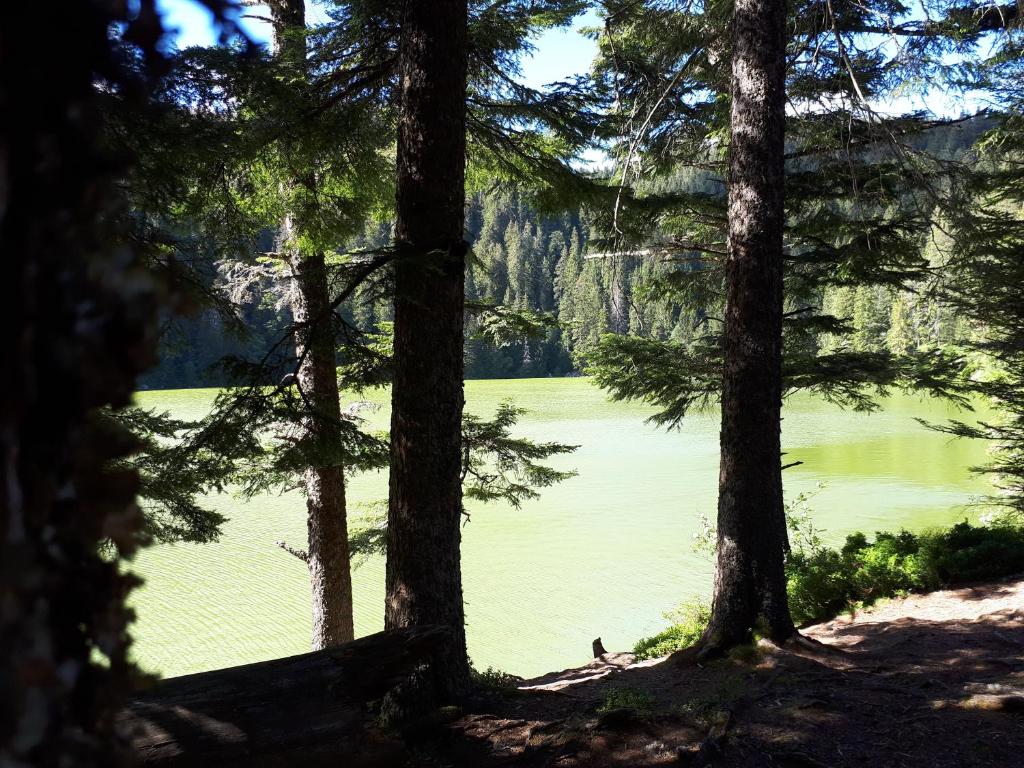 Le gîte du Moulin – photo 28