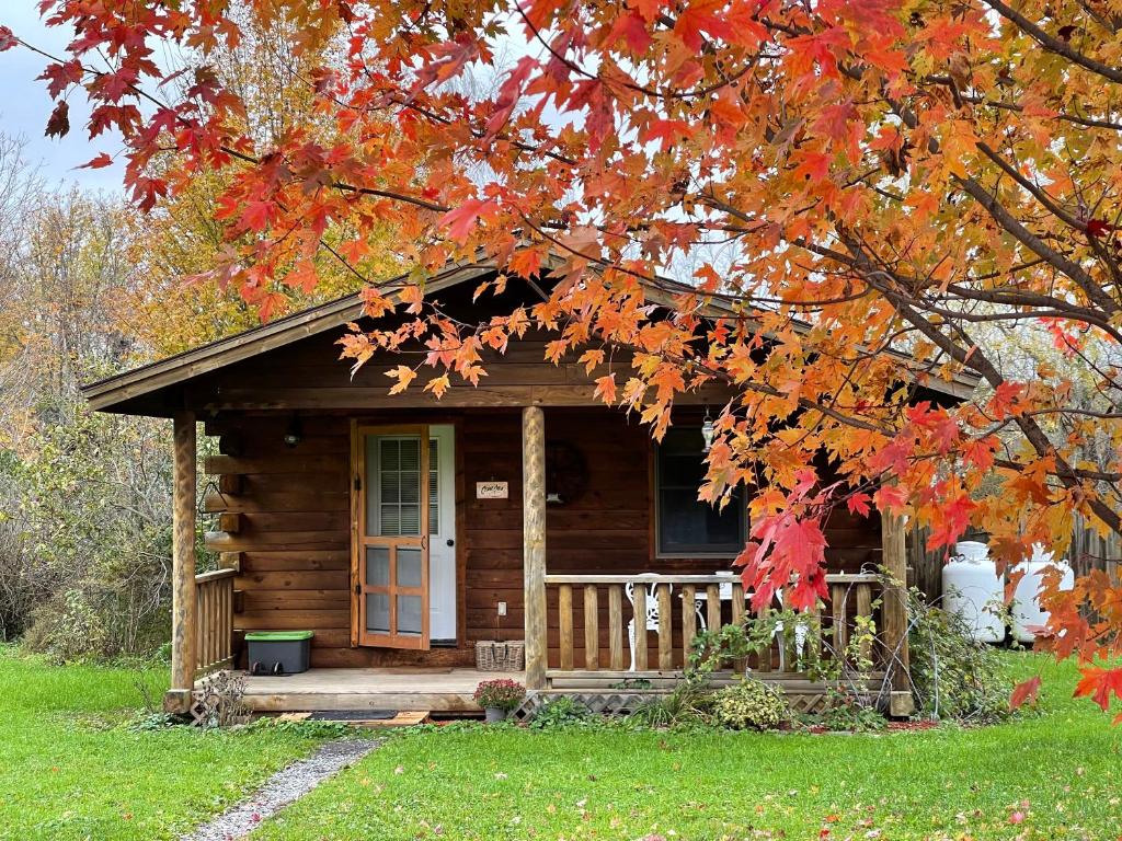 Aed väljaspool majutusasutust Mill Creek Cabins