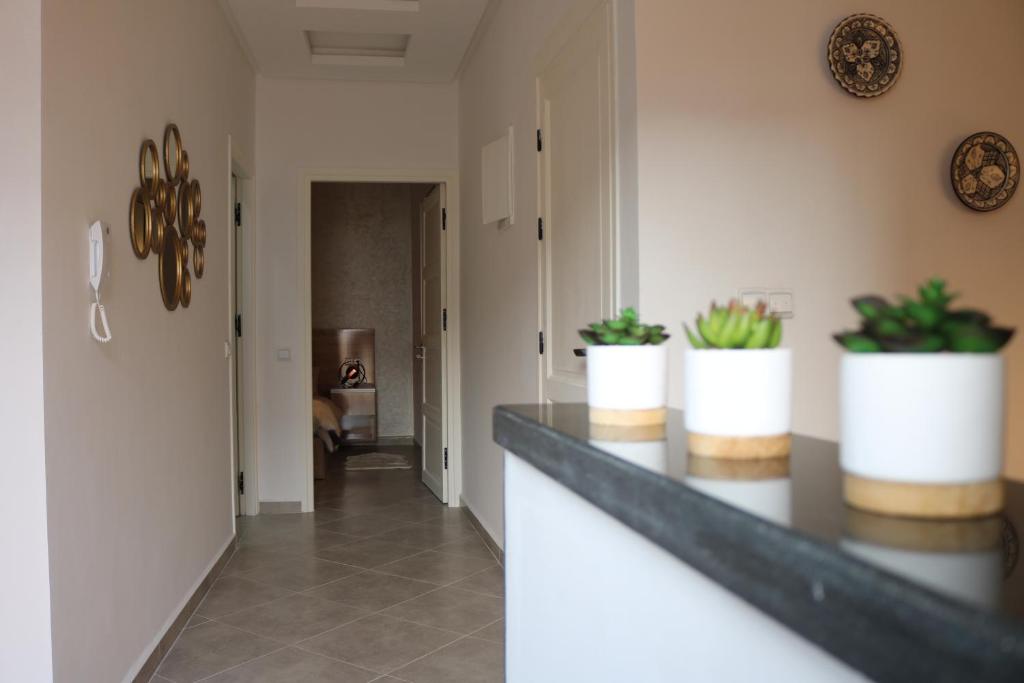 a hallway with two potted plants on a counter at Tiwaline Tarsime App F in Sidi Ifni