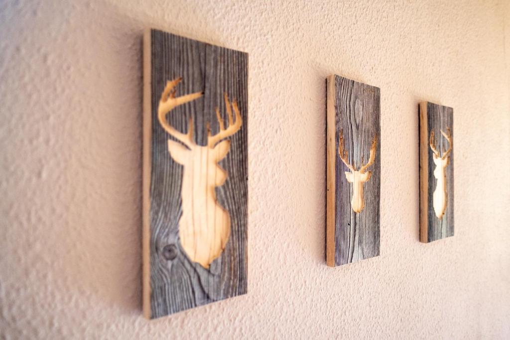 Fotografie z fotogalerie ubytování Alprocks Alvaresort v destinaci Bichlbach