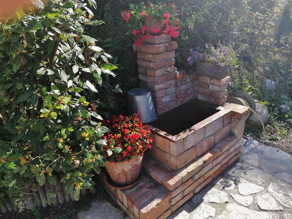 Zahrada ubytování La Stazion