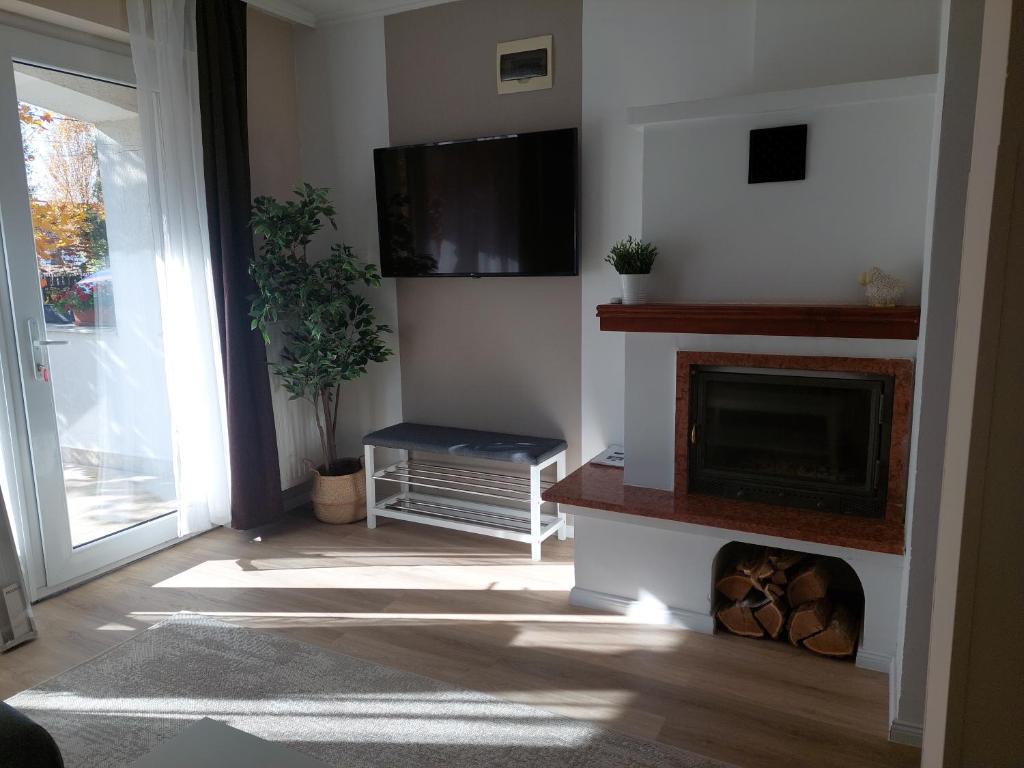 a living room with a fireplace and a tv at Semiramis Apartman in Cserkeszőlő