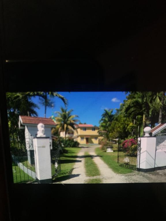 a view of a house with a gate and a driveway at Little Shaw park guest house in Ocho Rios