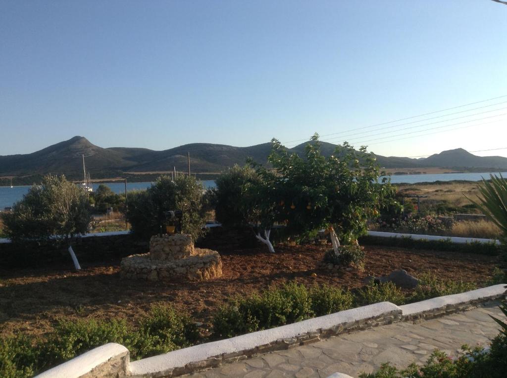 Un paisaje natural cerca del departamento