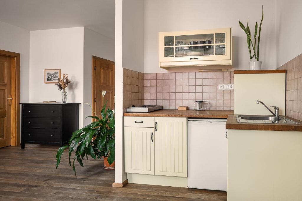 Penzion Oloffson - One-Bedroom Suite