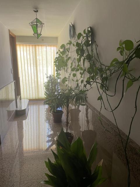 Fotografie z fotogalerie ubytování Apartamentos Coronichi v destinaci Montefrío