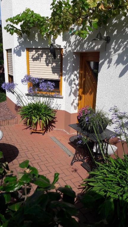 un bâtiment avec une fenêtre fleurie devant lui dans l'établissement Ferienwohnung Schlossblick, à Eisfeld