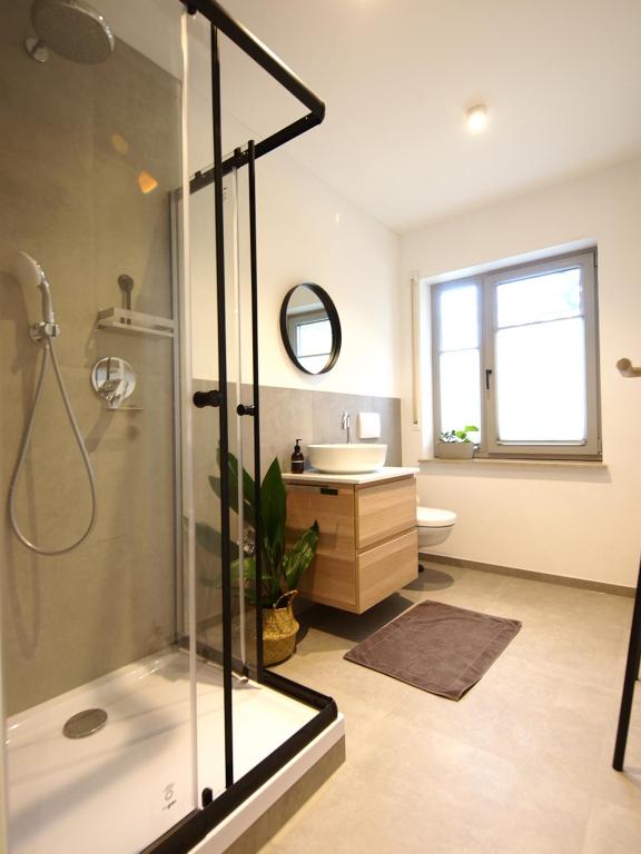 a bathroom with a shower and a sink at Apartmenthaus Schön in Bad Neustadt an der Saale