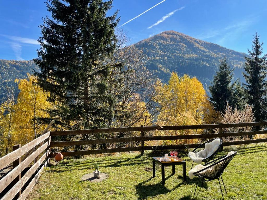 a table and a chair in a field with a fence at DOLCEVITA - Family Aparment 300 m from ski slope in Bad Kleinkirchheim