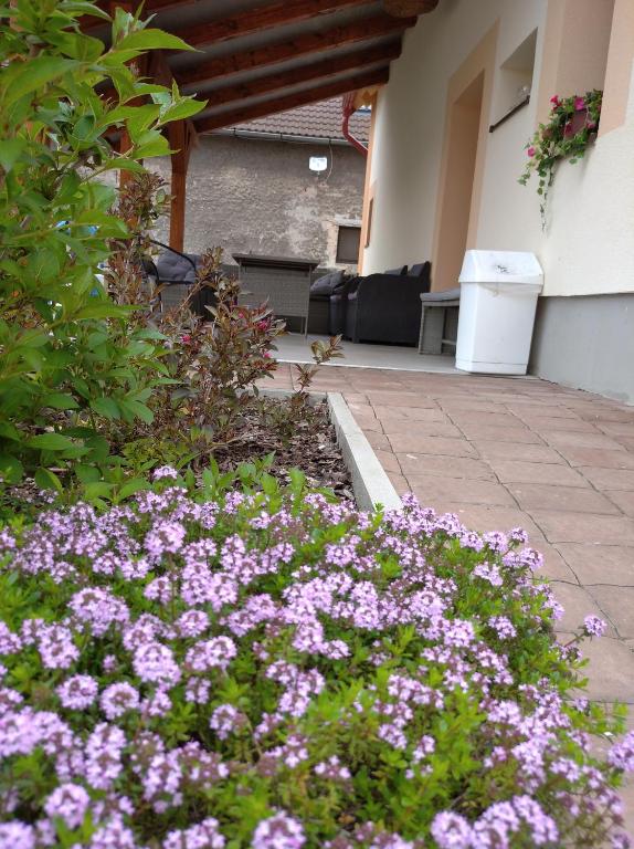 Zahrada ubytování Apartmány Opolany