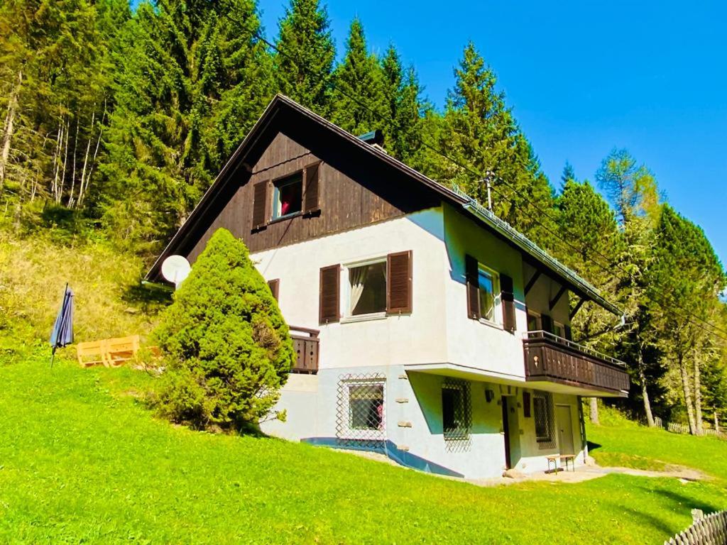 a house on top of a green hill with trees at Wildbach Chalet Turrach in Turracher Hohe