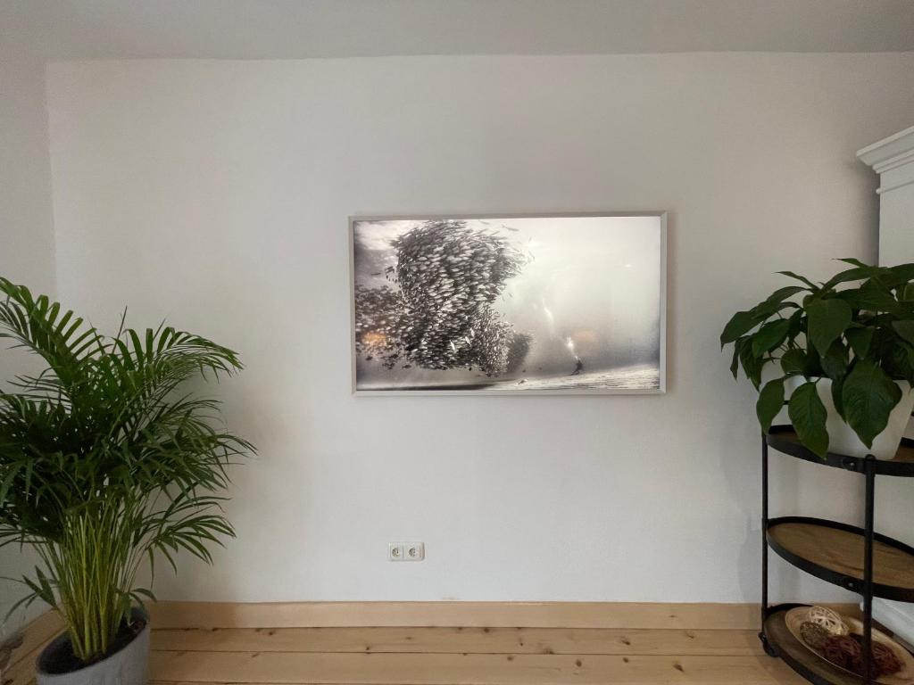 Gulewicz Apartments - 15