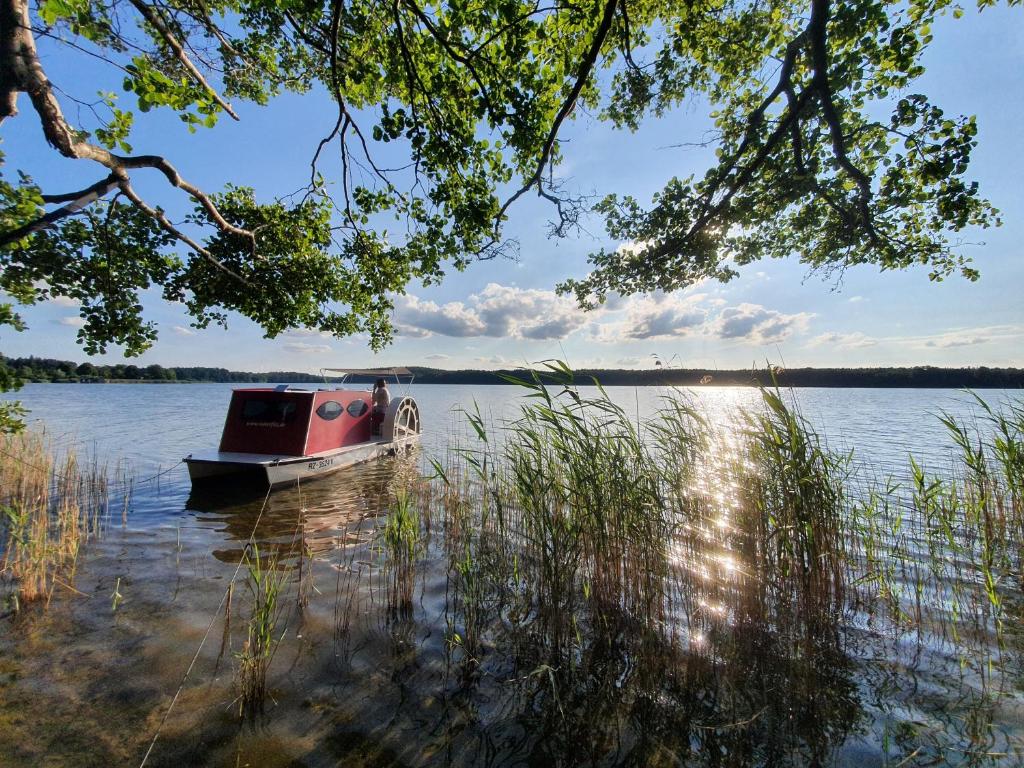 un petit bateau assis au milieu d'un lac dans l'établissement Lütt Hütt, à Rechlin