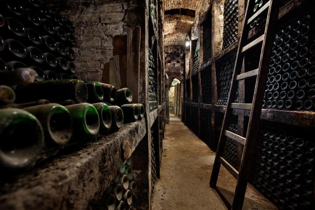 Fotografia z galérie ubytovania Rioja & Vino v destinácii Fuenmayor