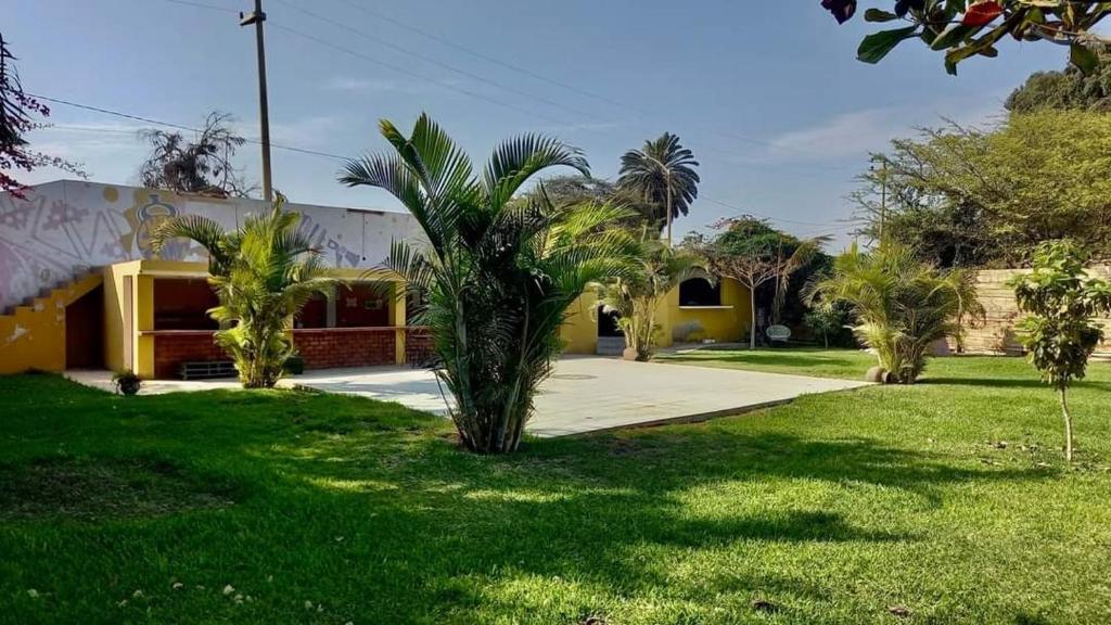 un palmier devant un bâtiment jaune dans l'établissement Villa Hospedaje Chanchan Cultural Lodge, à Trujillo