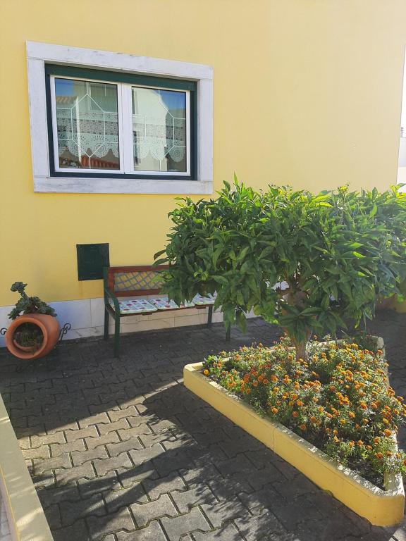 MARIA INÊS HOUSE - 8