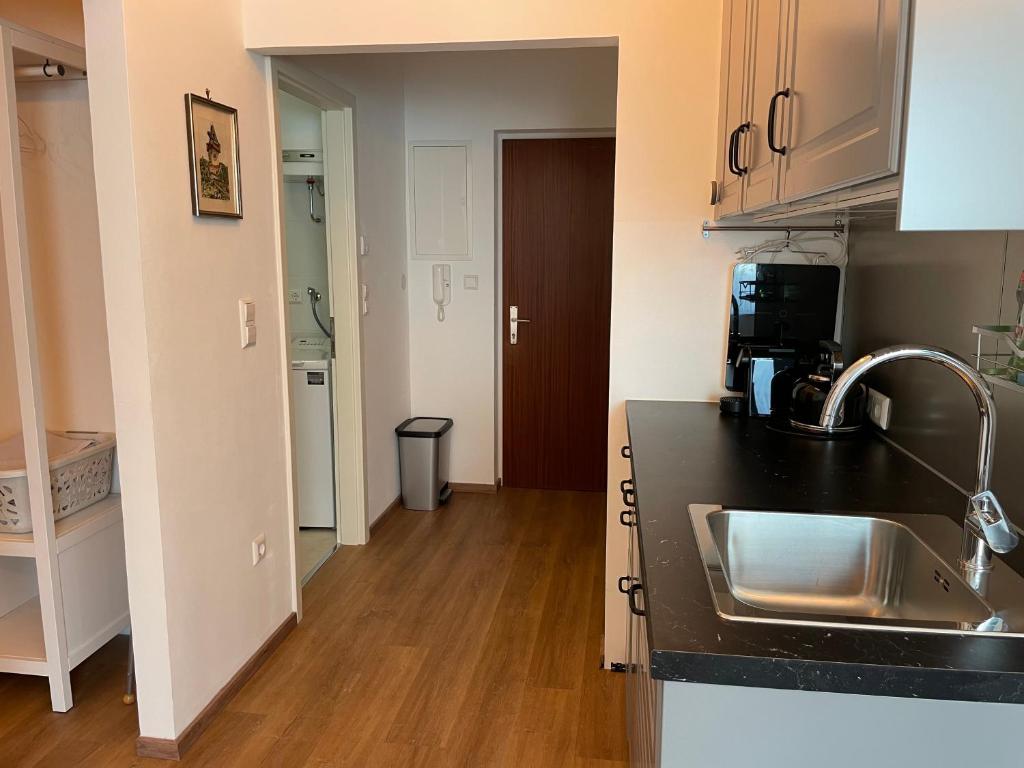 Kuchyňa alebo kuchynka v ubytovaní Zentrum & Parkmöglichkeit Apartment