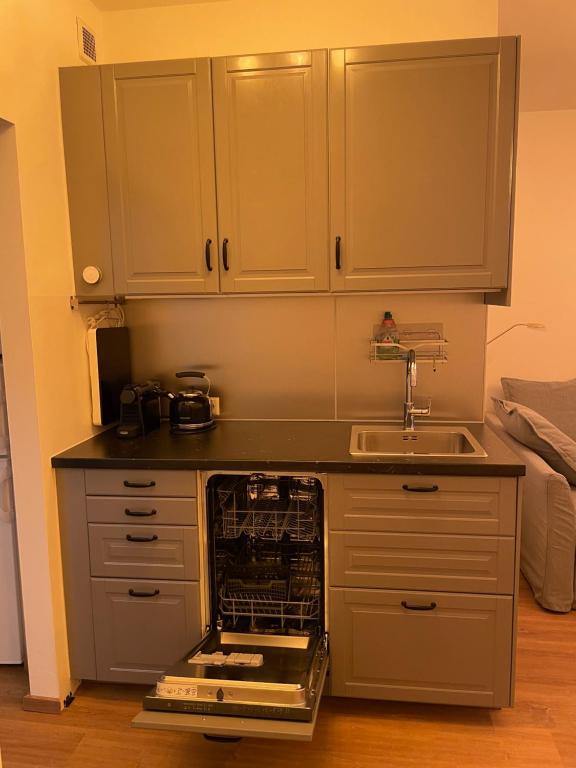 Kuchyňa alebo kuchynka v ubytovaní Zentrum & Parkmöglichkeit Apartment
