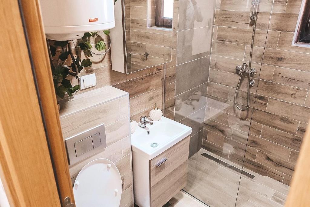 Kupatilo u objektu Apartman TRAG Divčibare