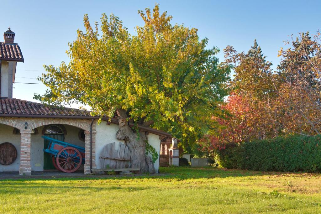 A garden outside La Fattoria