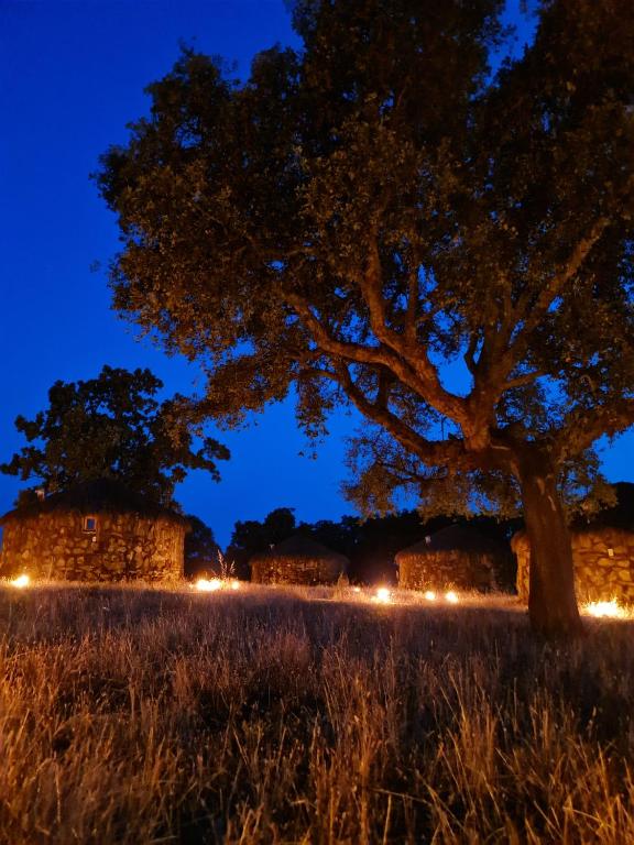 Fotografie z fotogalerie ubytování Chozos Las Flores de la Dehesa v destinaci Calzadilla