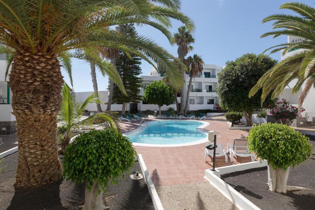 eine Palme und ein Pool in einem Resort in der Unterkunft Precioso y céntrico apartamento in Costa Teguise