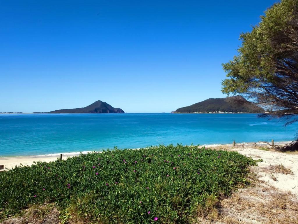 a view of the ocean from the beach at Shoal Bay Beach Apartments Unit 17 2 Shoal Bay Road in Nelson Bay