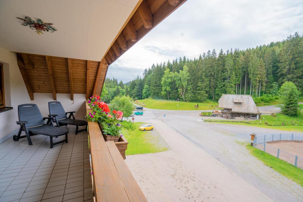 Příroda nedaleko hotelu