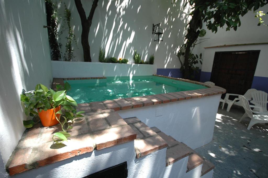 a swimming pool with a fountain in a backyard at Hotel Casa de los Azulejos in Córdoba