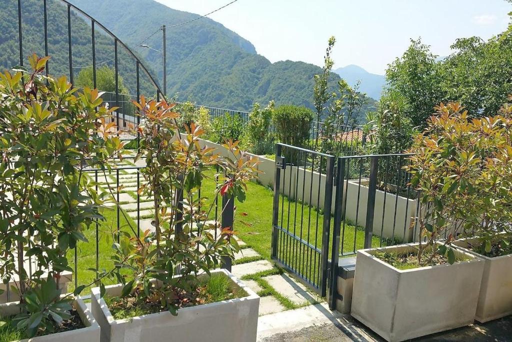 Widok na góry z tego apartamentu