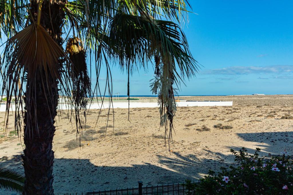 a sandy beach with palm trees and the ocean at La Vista Bonita in Corralejo