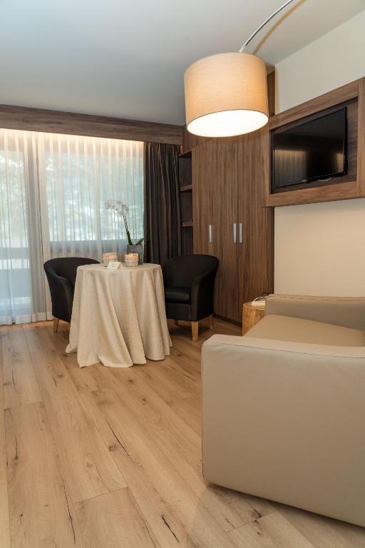 TV a/nebo společenská místnost v ubytování Palace Hotel Wellness & Beauty
