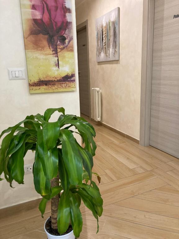 Fotografie z fotogalerie ubytování Hotel IL DIRETTO v destinaci Potenza