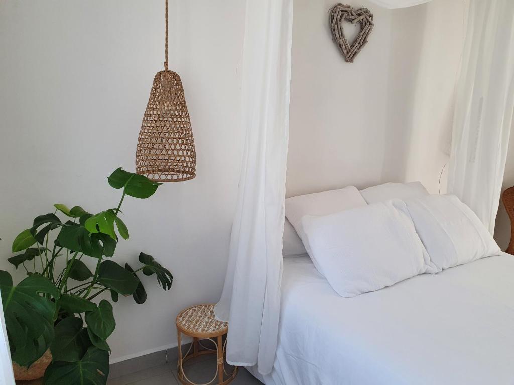 een slaapkamer met een bed en een potplant bij Une Nuit à Bali - Appartement cocooning in Solliès-Toucas