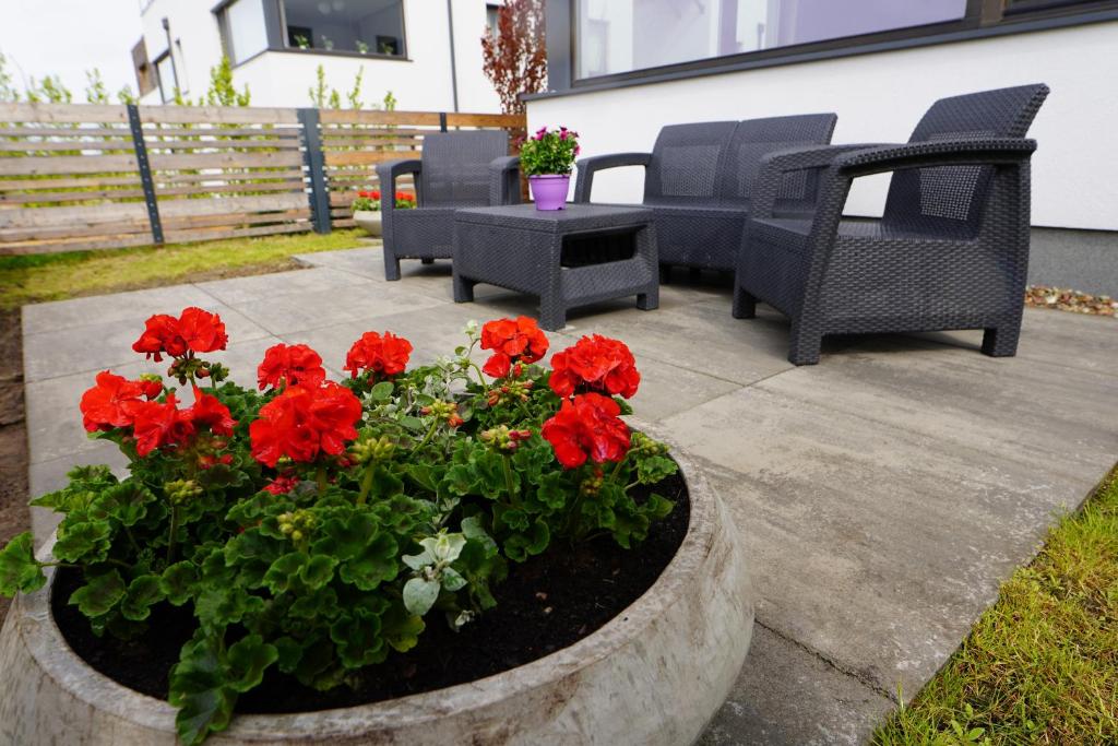 Zahrada ubytování Lemmas Apartament Anchoria