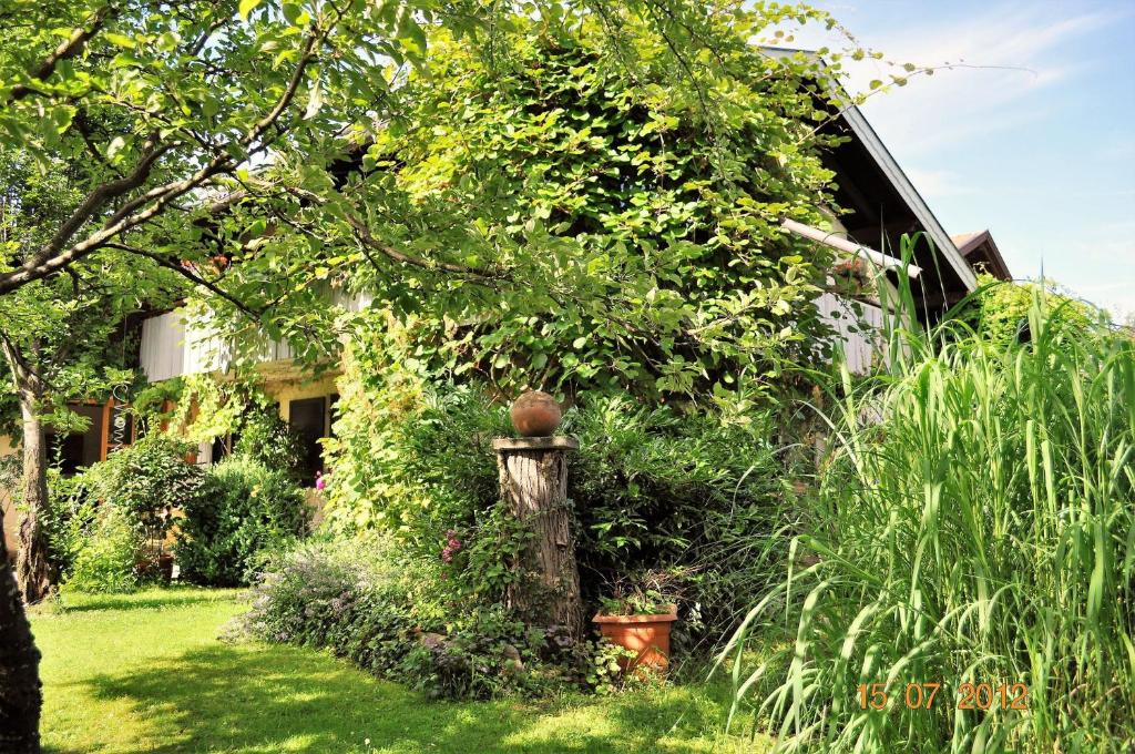 Zahrada ubytování Ferienwohnung Fischer